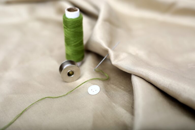Sustainable Fashion Influencers: Promoting Eco-Conscious Style on Social Media