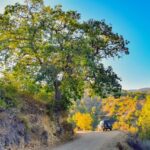Navigation Systems and Sustainable Tourism: Ecotourism Routes