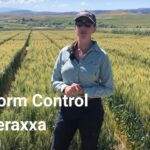 Discover the Power of Community Reading: Inside the Reddy Book Club Experience