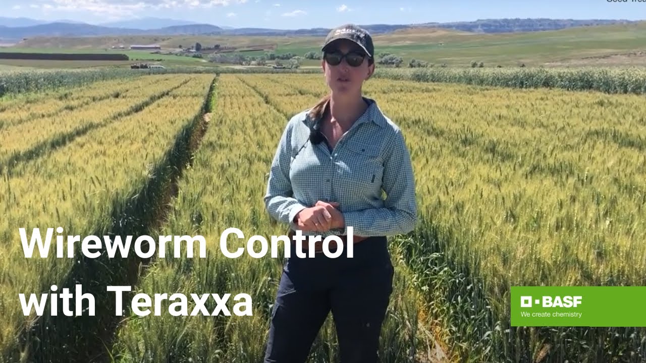 Discover the Power of Community Reading: Inside the Reddy Book Club Experience